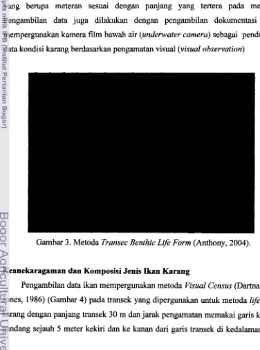 Gambar 3. Metoda Transec Benthic Life Form (Anthony, 2004). 