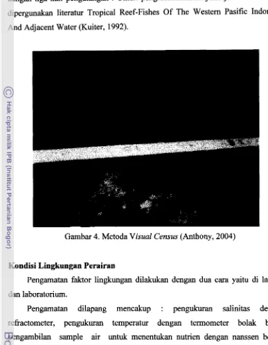 Gambar 4. Metoda Visual Census (Anthony, 2004) 