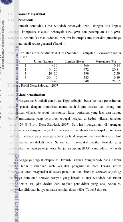 Tabel 4 Struktur umur penduduk di Desa Sidodadi Kabupaten. Pesawaran tahun