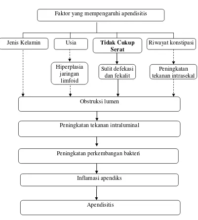 Gambar 2.2 Kerangka Teori Sjamsuhidajat,De Jong,2004; Masjoer, 2010; Jehan, 2003; Fitriana, 2013) 