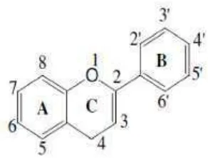Gambar 3. Struktur senyawa flavonoid 