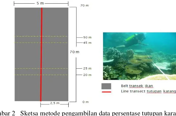 Gambar 2   Sketsa metode pengambilan data persentase tutupan karang   