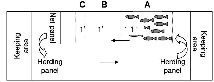 Figure 7. Acclimatization process (from top view) 