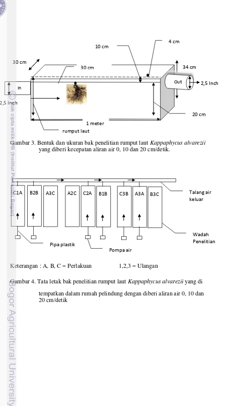Gambar 3. Bentuk dan ukuran bak penelitian rumput laut Kappaphycus alvarezii 
