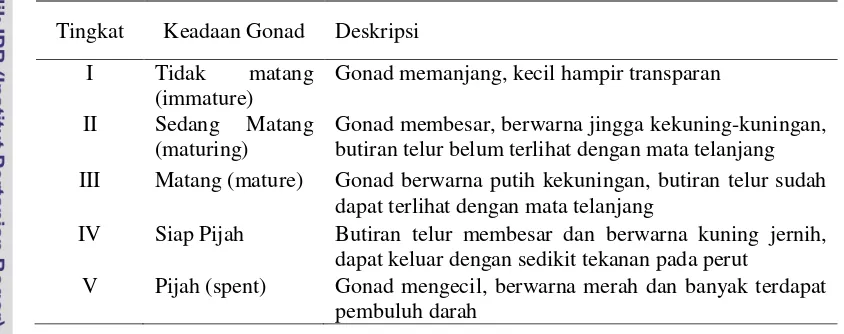Tabel 4 Klasifikasi kematangan gonad ikan laut
