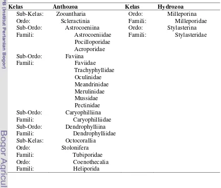Tabel  1. Struktur klasifikasi karang hermatifik. 