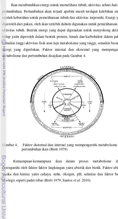 Gambar 4.    Faktor eksternal dan internal yang mempengaruhi metabolisme dan   