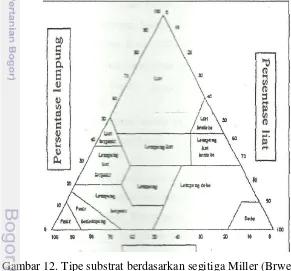 Gambar 12. Tipe substrat berdasarkan segitiga Miller (Brwer et al. 1990) 