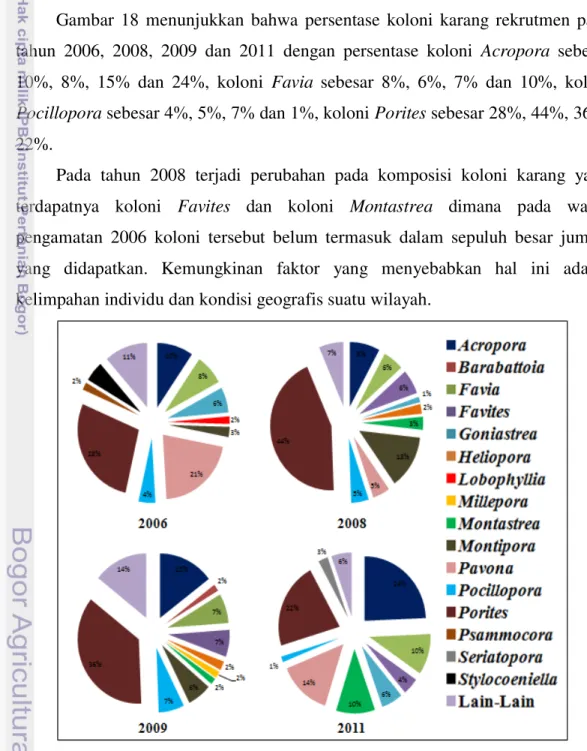 Gambar  18  menunjukkan  bahwa  persentase koloni  karang  rekrutmen pada  tahun 2006, 2008, 2009 dan 2011 dengan  persentase  koloni  Acropora  sebesar  10%,  8%,  15%  dan  24%,  koloni  Favia  sebesar  8%,  6%,  7%  dan  10%,  koloni  Pocillopora  sebes