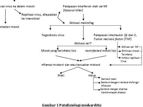 Gambar 1 Patofisiologi miokarditis