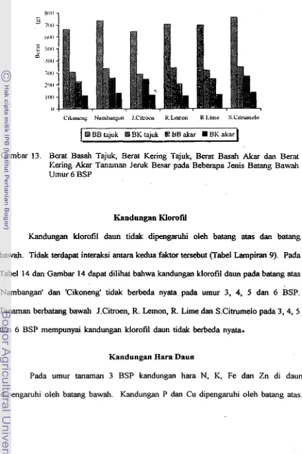 Tabel 14 dm Gmbar 14 dapat diIihat bahwa kandwgan Murufal daun pada b-g 