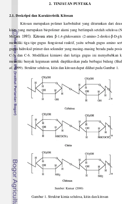 Gambar 1. Struktur kimia selulosa, kitin dan kitosan 
