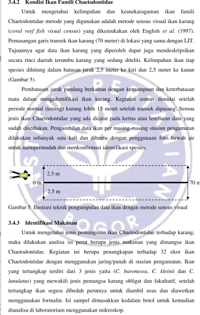 Gambar 5  Ilustrasi teknik pengumpulan data ikan dengan metode sensus visual 