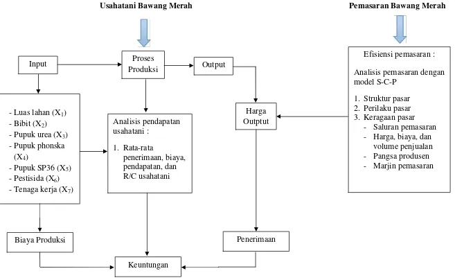 Gambar 2. Diagram alir kerangka pemikiran Analisis Usahatani dan Pemasara Bawang Merah di Kabupaten Tanggamus, 2014