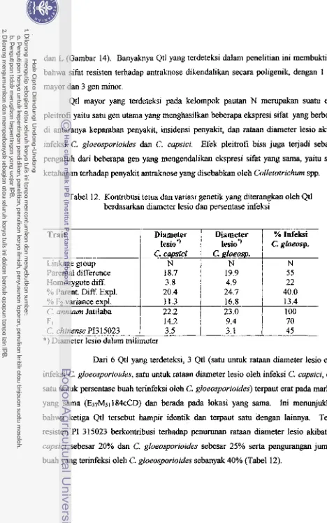 Tabel 12. Kontribusi tetm dan variasi genetik yang diterangkan oieh Qtl 