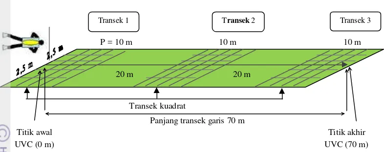 Gambar 4  Skema transek garis, transek kuadrat dan sensus visual ikan-ikan karang 