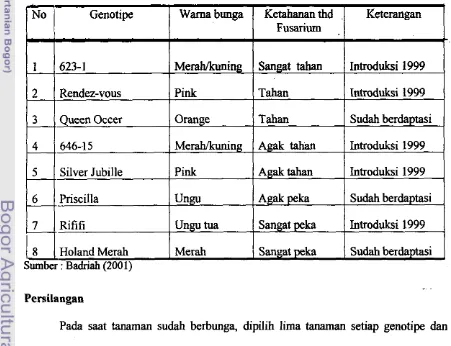 Tabel 3. Genotipe gladiol yang digunakan dalam persilangan 