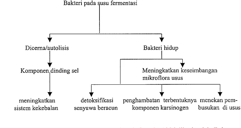 Gambar 1. Mekanisme Pencegahan Kanker (Mitsuoka 1986 dikutip oleh Driessen 