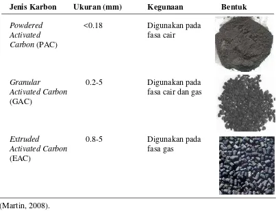 Tabel 2. Klasifikasi karbon aktif berdasarkan bentuknya 