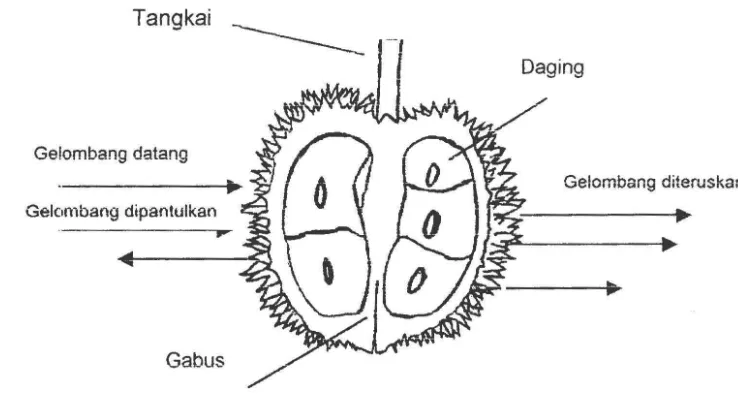 Gambar 3.2. Bagan model fisik perambatan gelombang ultrasonik 