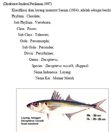 Gambar 2 Layang (Decapterus russelli) (Balai Penelitian Perikanan Laut, 1992). 