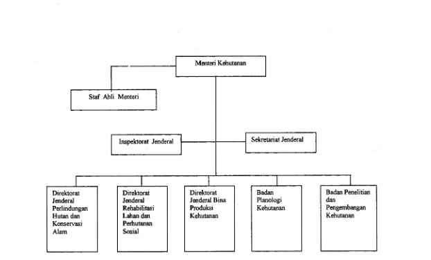 Gambar 2.1 Struktur Organisasi Departemen Kehutanan secara urnum berdasarkan 