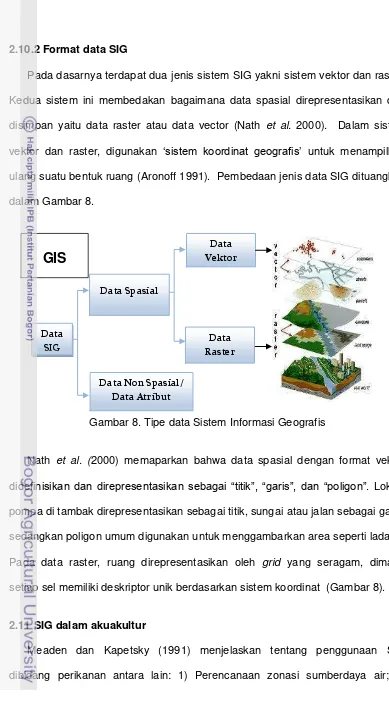 Gambar 8. Tipe data Sistem Informasi Geografis 