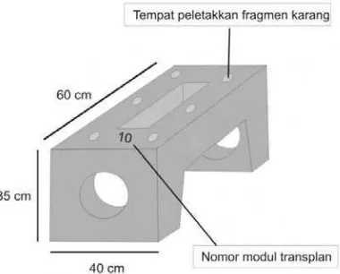Gambar 11. Konstruksi modul transplantasi (PKSPL-IPB 2009)