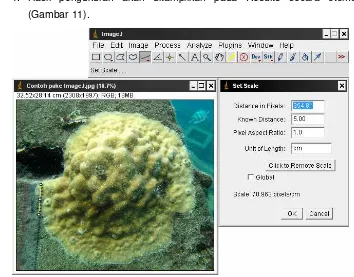 Gambar 11  Contoh tampilan hasil pengukuran luas dengan software ImageJ. 