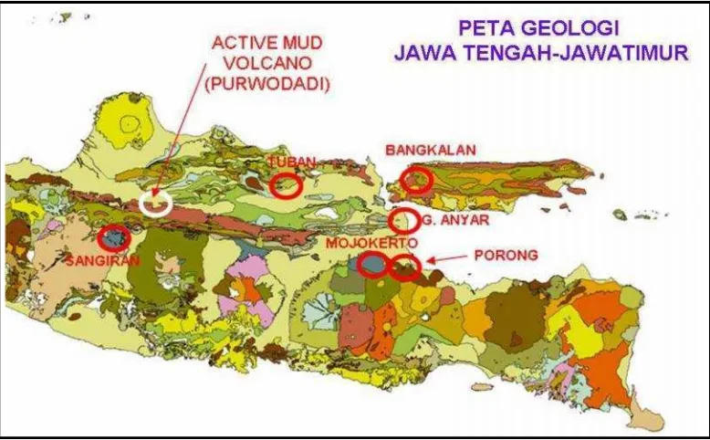 Gambar 2. Peta geologi Jawa Timur (Sarkowi, 2008)