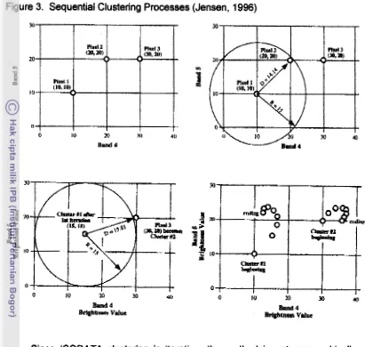 Figure 3. Sequential Clustering Processes (Jensen, 1996) 