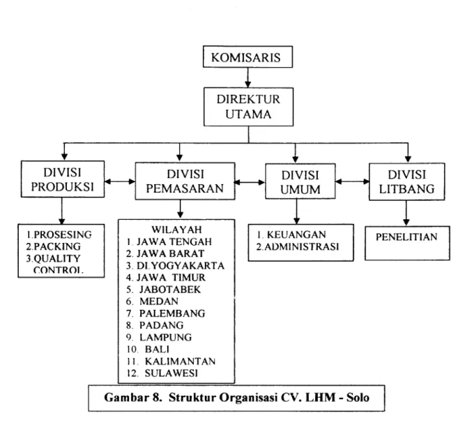 Gambar 8.  Struktur Organisasi CV. LHM  -  Solo 