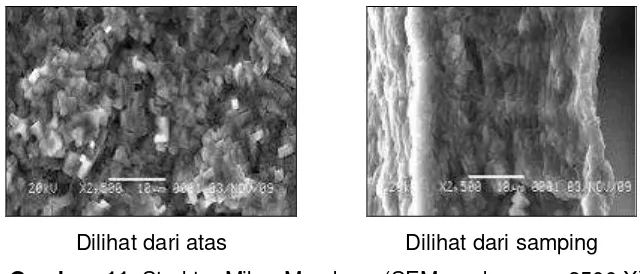 Gambar  11. Struktur Mikro Membran (SEM, perbesaran 2500 X) 