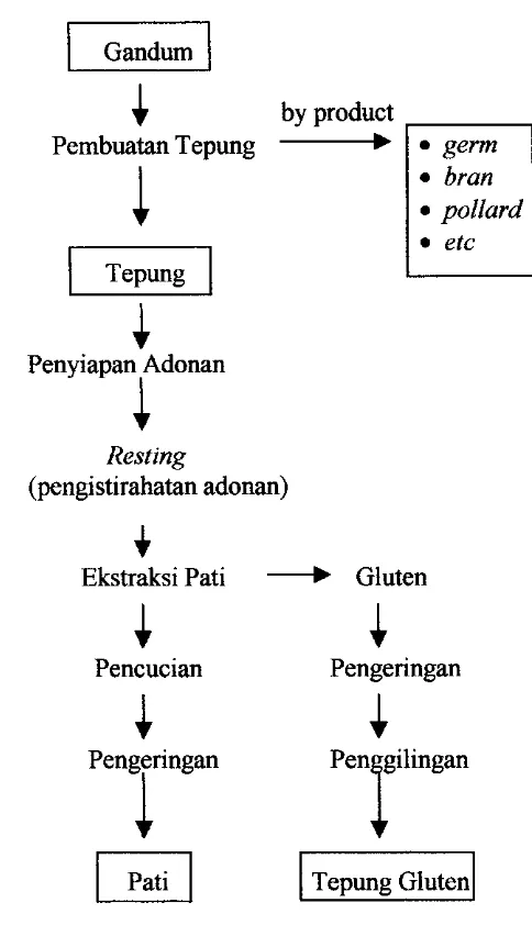 Gambar 1. Proses produksi tepung gluten dan pati gandum (Sumber : Kearsley 