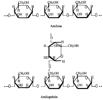 Gambar 2. Struktur amilosa dan amilopektin 