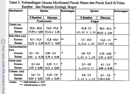 Tabel 5. Perbandingan Ukuran Morfometri Pecuk Hitam dan Pecuk Kecil di Pulau 