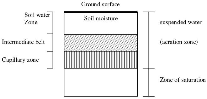 Gambar 4  Distribusi vertikal air tanah. 