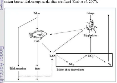 Gambar 1. Siklus nitrogen di kolam budidaya (Crab et al., 2007) 