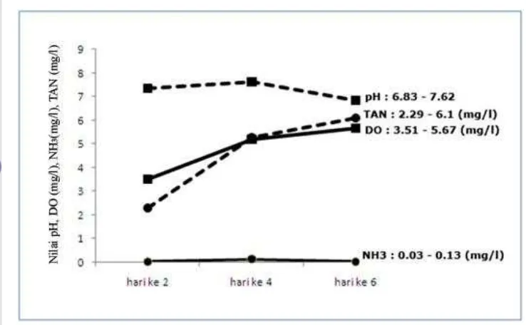 Gambar 9.  pH, DO, kadar NH3, dan TAN selama pemeliharaan 