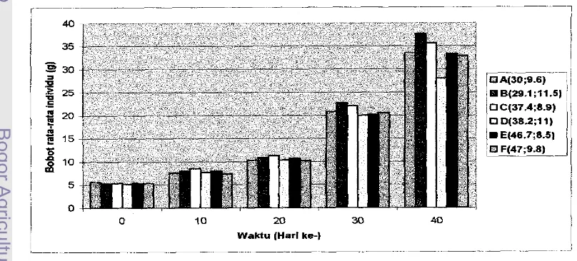 Gambar perubahan bobot rata-rata individu ikan baung setiap perlakuan seIama percobaan 