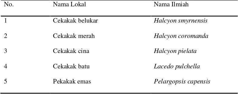 Tabel 1. Spesies dari Halcyonidae di Sumatera (MacKinnon dkk., 2010)