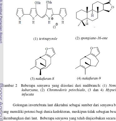 Gambar 2  Beberapa senyawa yang diisolasi dari nudibranch: (1) Nembrotha 