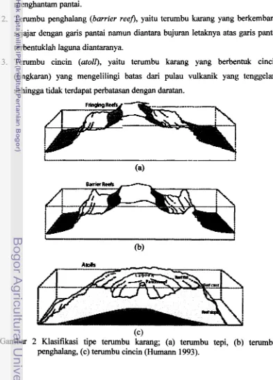 Gambar ( 4  2 Klasifikasi tipe terumbu karang; (a) terumbu tepi, (b) terumbu 