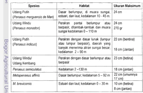 Tabel 1. Habitat Udang Penaeid 