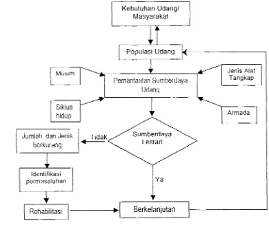 Gambar 1. Kerangka Pemikiran Penelitian 