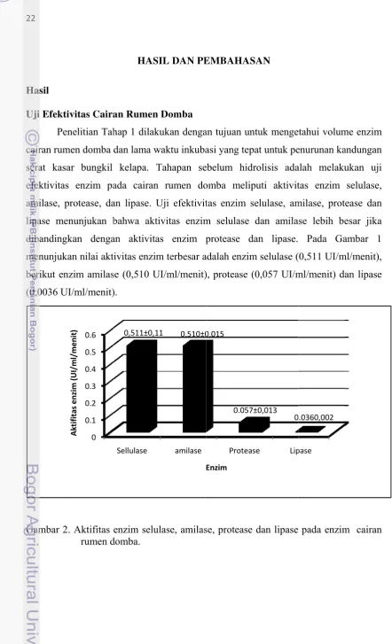 Gambar 22. Aktifitas 