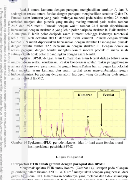 Gambar 14 Spektrum HPLC  periode inkubasi 1dan 14 hari asam fenolat murni 
