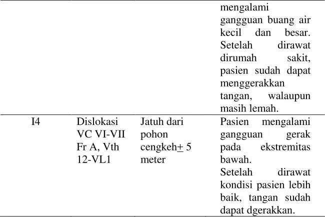 Tabel  4.3 Karakteristik informan pendamping 