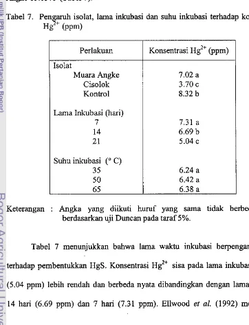 Tabel 7. Pengaruh isolat, lama inkubasi dan suhu inkubasi terhadap konsentrasi 