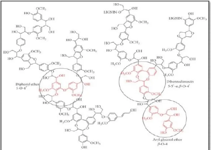 Gambar  3. Struktur lignin (Crestini et al., 2010). 